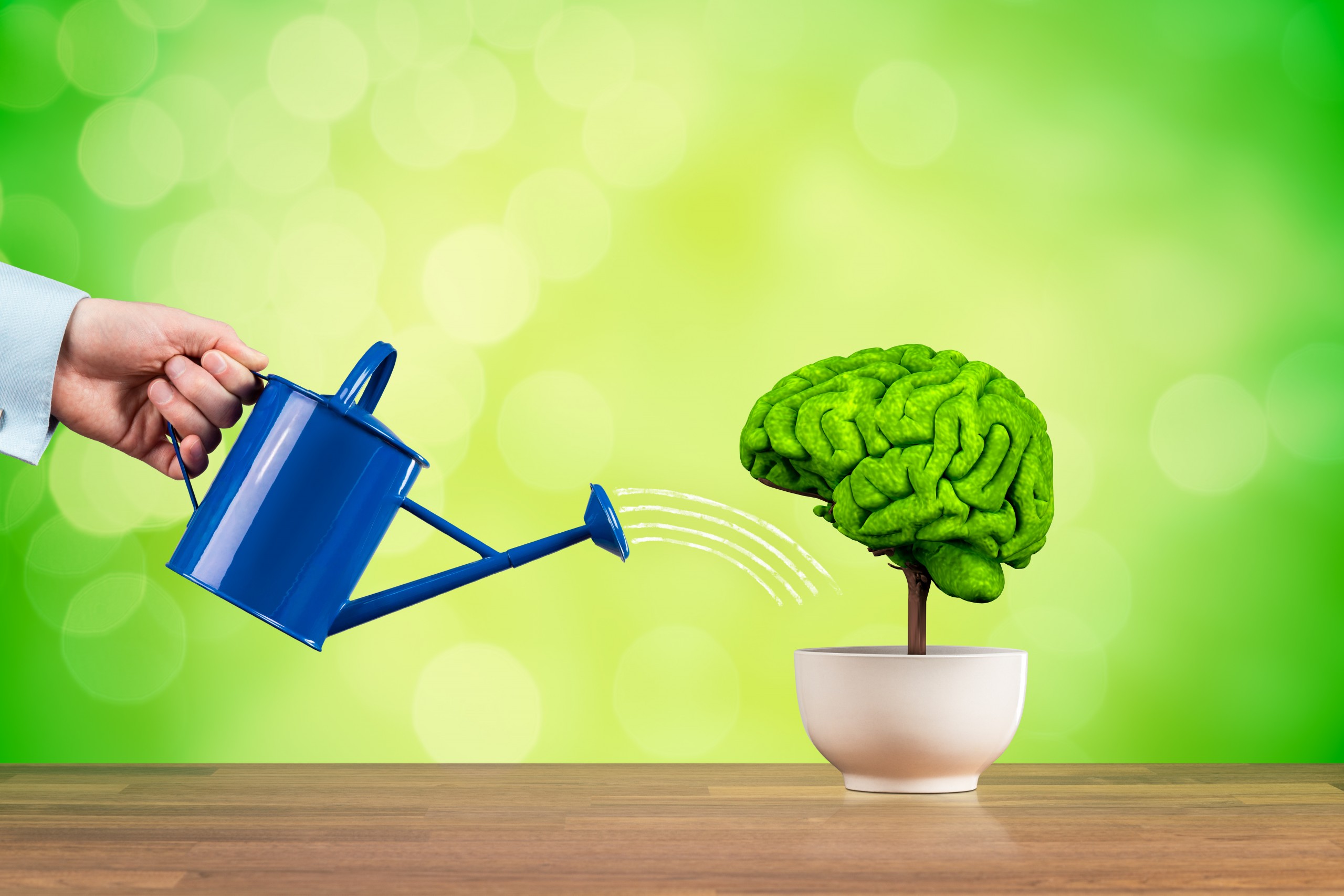 <p>Creativity growth, better using brain function and memory improvement concept. Creativity growth represented by tree looks like the human brain watered by businessman.</p>
