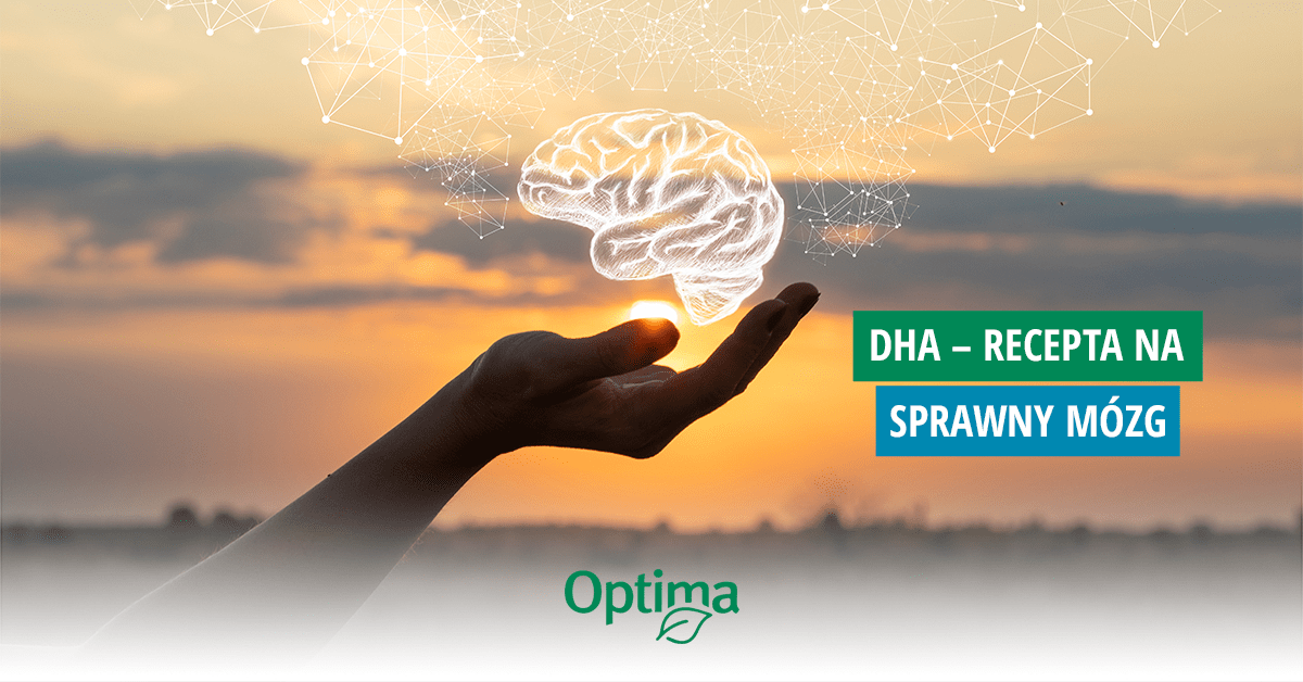 Kwas DHA receptą na prawidłowe funkcjonowanie mózgu?